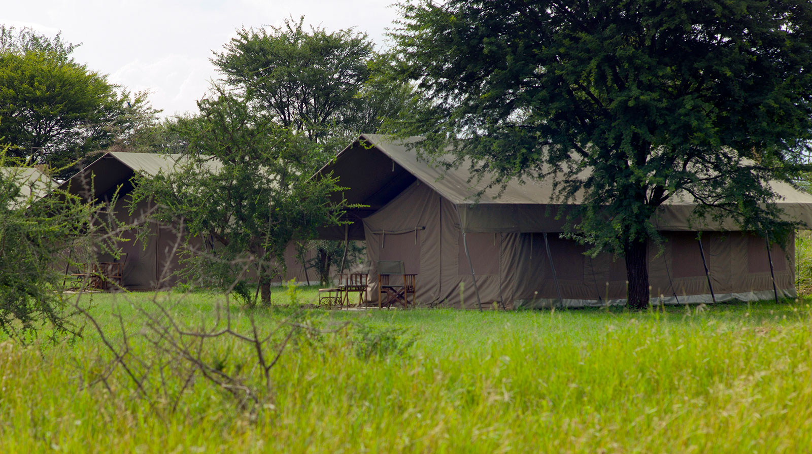 Ronjo Camp - Relaxed and tranquil
